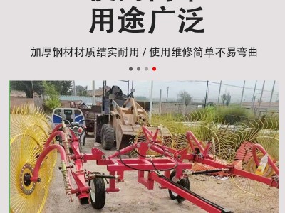 多功能四轮拖拉机后悬挂翻草机秸秆牧草翻晒搂草靶子晒草机翻草机图2