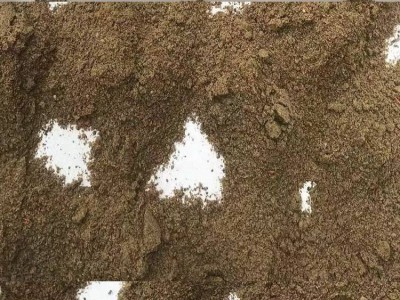 美国进口鸡肉粉，猪鸡水产养殖，宠物料肉粉适用添加剂量图3