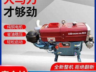 新款柴油机单缸柴油发电机组蓝色水冷发动机拖拉机农用电启动图4