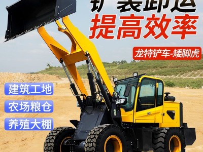 四驱柴油小铲车装载机小型农用抓木机工地养殖抓机农场粮仓矮脚虎图2