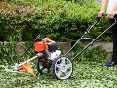 厂家批发精品手推割草机家用汽油二冲程圆盘小型松土除草机打草机图5