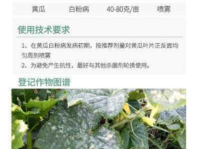 邦赛克70%甲基硫菌灵杀菌剂甲基硫灵菌黄瓜白粉病农药正品旗舰店图4