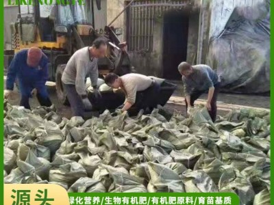 土壤改良专用绿化有机营养土 草炭土 富含微量元素图4