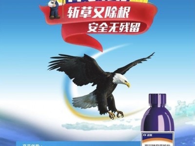 瑞德丰战锄60%草甘膦异丙胺盐高含量抗低温烂根灭生性除草剂图3