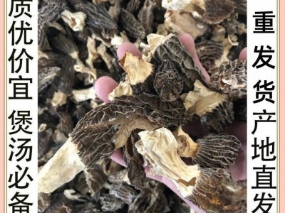 Zqv特佳云南羊肚菌干货羊肚蘑香菇羊肚菌破损新货羊肚菌碎片边角图2