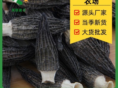 Zqv正宗云南羊肚菌新鲜干货菌菇今年新货肉厚头茬5-7煲汤食材批发图3