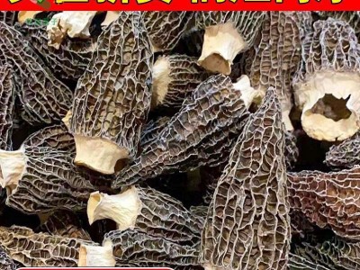 Zqv【厂家直销】精品羊肚菌农家干货批发无硫云南特产煲汤滋补批图2