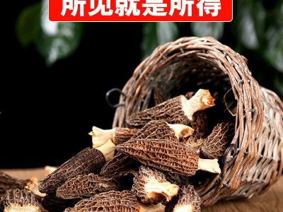 Zqv【厂家直销】精品羊肚菌农家干货批发无硫云南特产煲汤滋补批图3
