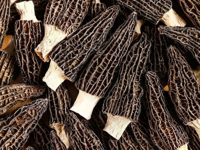 Zqv【厂家直销】精品羊肚菌农家干货批发无硫云南特产煲汤滋补批图5