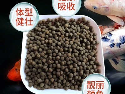 锦鲤饲料10公斤主食育成色扬批发锦鲤鱼粮上浮增体增色锦鲤鱼食图3