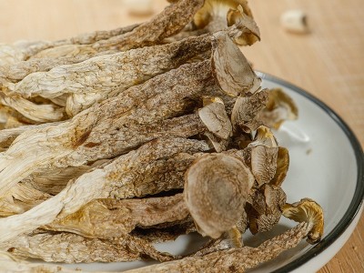 产地直销鹿茸菇干货食用菌批发脆脆菇鹿茸菇脆嫩新鲜干货大量批发图2