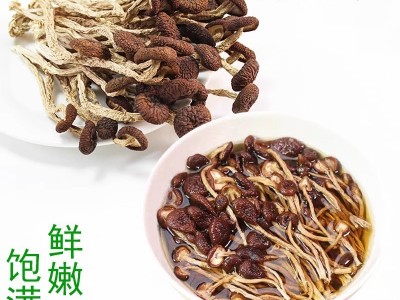 福建茶树菇代发干货不开伞农家特产干茶树菇新货批发香菌菇炒炖汤图3