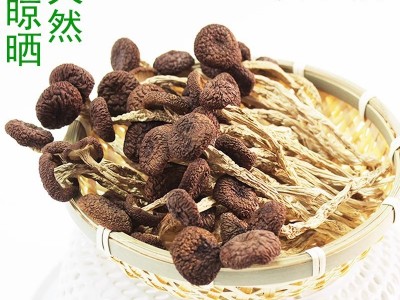 福建茶树菇代发干货不开伞农家特产干茶树菇新货批发香菌菇炒炖汤图2
