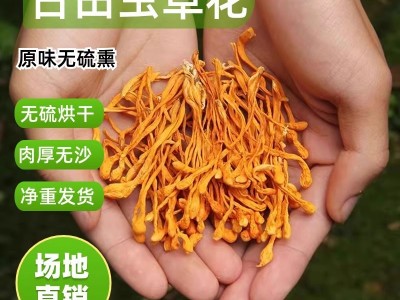 福建虫草花干货煲汤商用羊肚菌炖汤正宗乌鸡汤竹荪汤包特产无硫烘图3