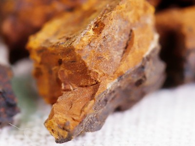 大货批发桦树茸 白桦茸颗粒 食用菌类大量供应代理批发一件代发图2