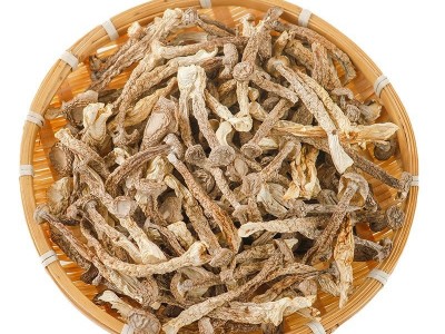 古田干货鹿茸菇500g无硫无沙鹿茸菇干货脆脆菇鹿茸菌脆嫩新鲜干货图5