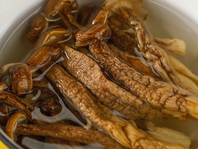 古田干货鹿茸菇500g无硫无沙鹿茸菇干货脆脆菇鹿茸菌脆嫩新鲜干货图4