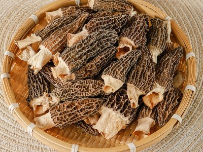 产地直供羊肚菌干货500g新鲜干羊肚菌肉厚煲汤食材食用菌干货批发图2