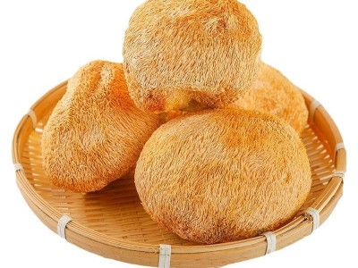 福建古田猴头菇干货无硫产地直发新鲜烘干煲汤食材食用菌厂家批发图5