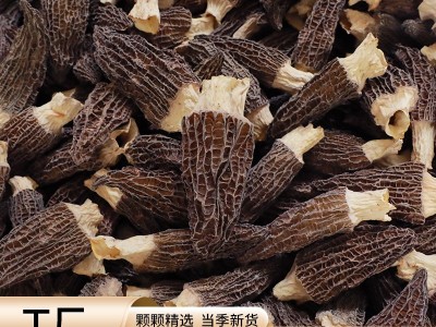羊肚菌干货云南羊肚菌原产地整箱500g头茬羊肚菌干货大量 批发代发图3