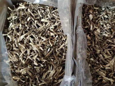 食用菌干货农产品整箱批发鹿茸菌中粗小条鹿茸菇脆脆菇一件代发图3