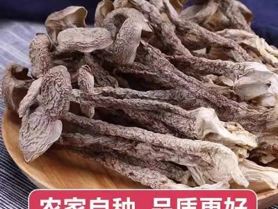 好货鹿茸菇直条鹿茸菇干货厂家直销10斤一箱图1