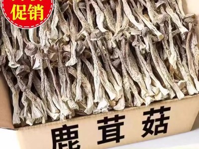 好货鹿茸菇直条鹿茸菇干货厂家直销10斤一箱图2