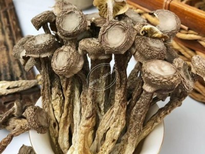 鹿茸菇干货礼盒 鹿茸菇汤包汤料 鹿茸菇菌菇礼盒装 菌菇汤包汤料图3