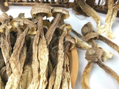 鹿茸菇干货礼盒 鹿茸菇汤包汤料 鹿茸菇菌菇礼盒装 菌菇汤包汤料图2