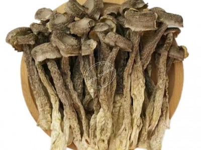 鹿茸菇干货礼盒 鹿茸菇汤包汤料 鹿茸菇菌菇礼盒装 菌菇汤包汤料图5