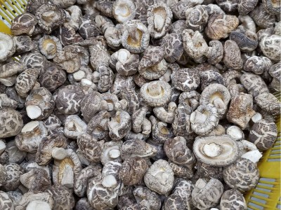 随州香菇干货散装产地直发 茶花菇 4-5干货特级可出口 香菇特产图2