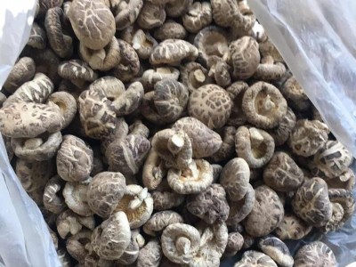 随州香菇干货散装产地直发 茶花菇 4-5干货特级可出口 香菇特产图4