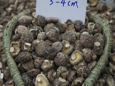 厂家直销秋载一级光面菇厚肉冬菇批发图3