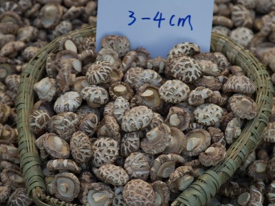 厂家直销春载一级白花菇干货冬菇干货批发图2