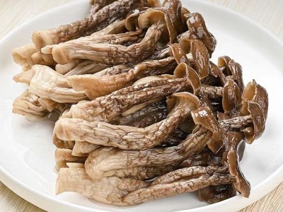 厂家直销古田鹿茸菇干货散装餐饮食材脆脆菇多种规格鹿茸菌批发图4