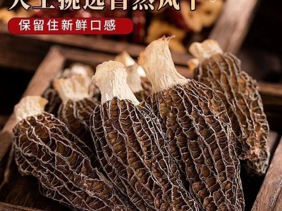 肉厚羊肚菌3-5cm精选干货25g云南特产野生菌菇煲汤食材滋补养身图3