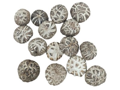 河南花菇椴木花菇白香菇蘑菇干货散装500g 源头厂家 直销批发图2
