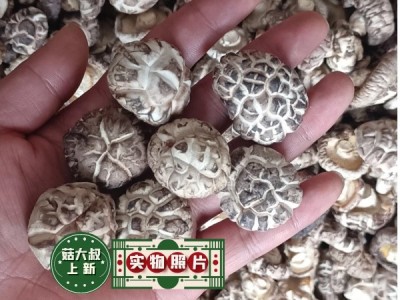 河南花菇椴木花菇白香菇蘑菇干货散装500g 源头厂家 直销批发图3