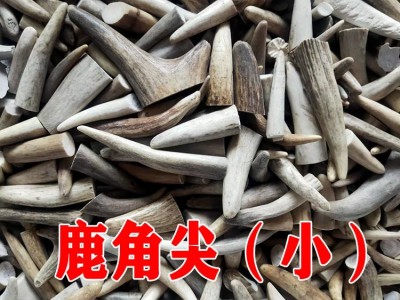 鹿角尖500克 鹿角实心手把件雕刻料原料吉林双阳鹿场直供免费打粉图3