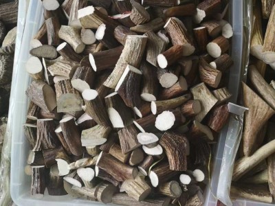 吉林特产投料鹿角块产地批发图2