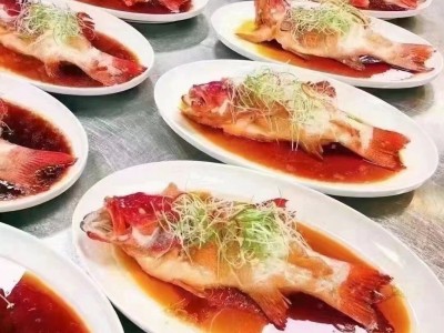 鲜冻东星斑 酒店餐饮宴席食材超低温速冻锁鲜 广州现货批发水产品图4