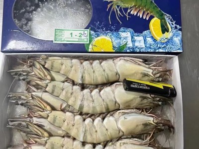 黑虎虾 鲜活速冻大虾 草虾6头 15头 20头全规格批发 冷冻水产品图4