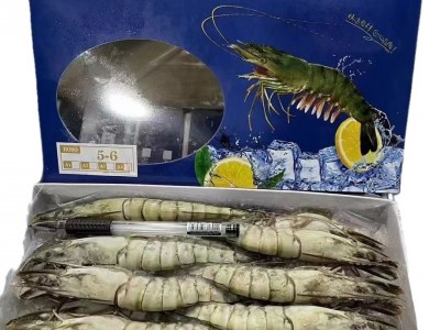 黑虎虾 鲜活速冻大虾 草虾6头 15头 20头全规格批发 冷冻水产品图5