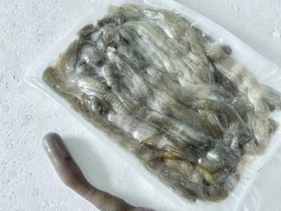 三去沙虫 解冻即烹250克/盒大小均匀广州黄沙海鲜市场现货 冷冻水图2