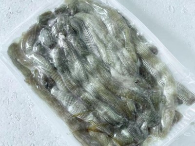 三去沙虫 解冻即烹250克/盒大小均匀广州黄沙海鲜市场现货 冷冻水图4
