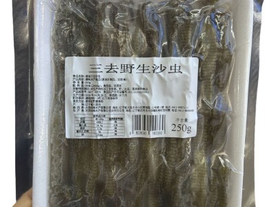 三去沙虫 解冻即烹250克/盒大小均匀广州黄沙海鲜市场现货 冷冻水图5