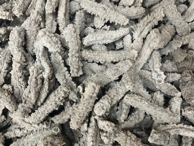 野生淡干刺王参黄玉刺参黄肉海参水产干货滋补食材250克包邮图3