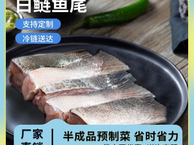 调理鲢鱼鱼尾八里河黄金纬度渔场淡水养殖半成品餐饮原材料批发图2