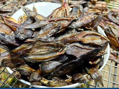 现货批发阳干泥鳅 160克淡水泥鳅干干鱼仔 自然晾晒黑干泥鳅图3