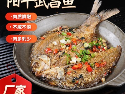 厂家加工定制阳干武昌鱼 腌制干货淡水鱼 自然晾晒风干鱼图2